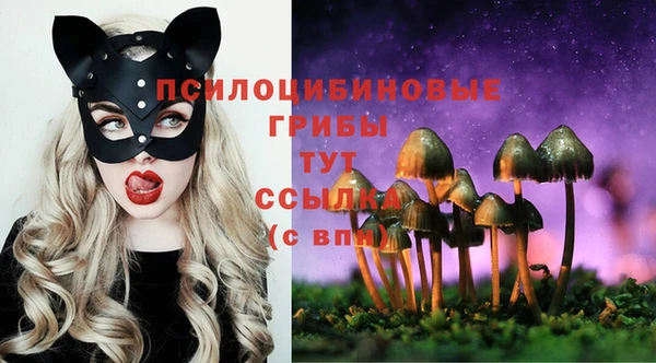 а пвп мука Баксан