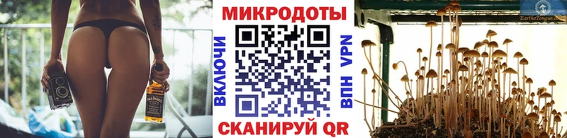 Галлюциногенные грибы GOLDEN TEACHER  Озёрск 